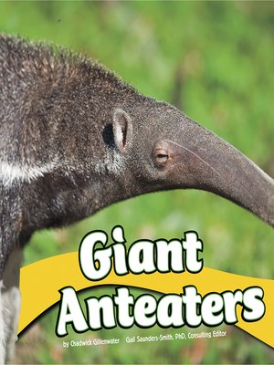cover image of Giant Anteaters